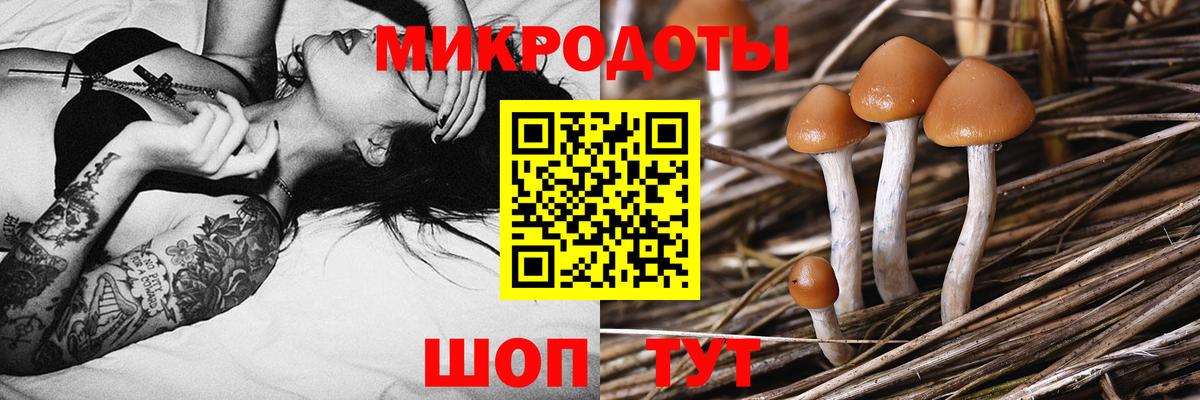 Крымск  Псилоцибиновые грибы Psilocybine cubensis  Вход с VPN  Псилоцибиновые грибы MAGIC MUSHROOMS 